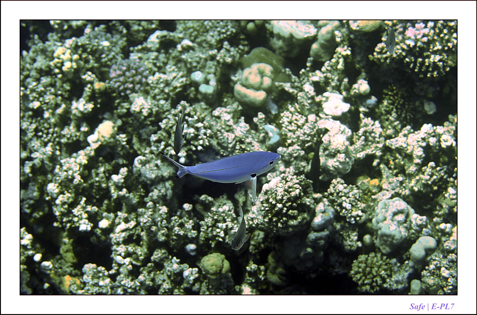 Hurghada - Juillet 2021 - 074